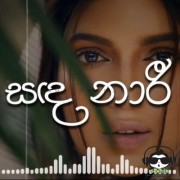 Sandanaari