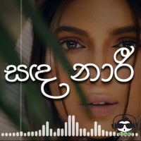 Sandanaari - Harsha Withanage