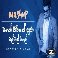 Mage Jeewithe Pura - Mal Mal Wile (Mashup Cover) - Sanjula Himala