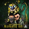 Dagara Waliga Remix (Waanara Bass) - Jizzy