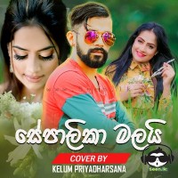 Sepalika Malai (Cover) - Kelum Priyadharsana