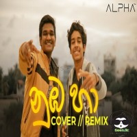 Numba Ha (Cover) - Alpha Team
