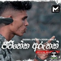 Jeevitheka Aruthak - Rashaa x Spg Boy x Devon x Winz D