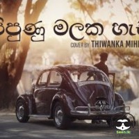 Pipunu Malaka (Cover) - Thiwanka Mihiran
