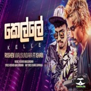 ABCD Kelle