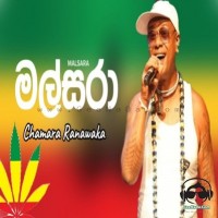 Malsara - Chamara Ranawaka