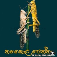 Thanakola Peththo - Dr.BSKing