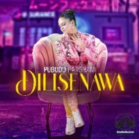 Dilisenawa - Pubudu Harshani ft Harry Harsh