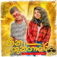 Heena Shunagri - Dil D x Rashmi