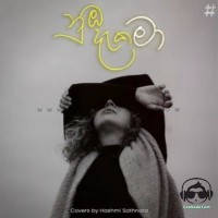 Numba Daka Ma (Female version) - Hashmi Sathnara