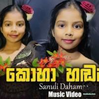 Koha Hadanne - Sanuli Dhahamsa