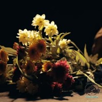 Dahaye Nottuwa - Buddhika Rambukwella