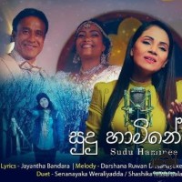 Sudu Hamine - Senanayaka Weraliyadda & Shashika Nisansala