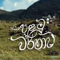 Palamu Warshawa - Asel Karannagoda