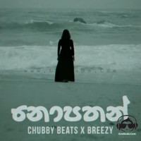 Nopathan - Breezy X Chubby