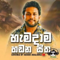 Hamadama Hadana Sitha (Cover) - Ishara Akalanka 