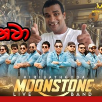 Marenawa Halo - Mr Bindu