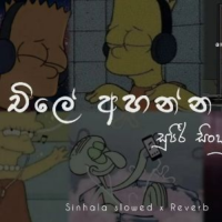 Chill Song Collection Slowed - Haxizz