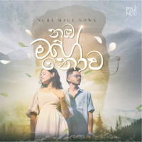 Nuba Mage Nowa - Pasindu Soysa & Thejan Roberts