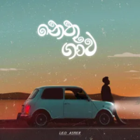 Nethu Gawa - Leo Asher
