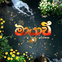 Mayawi - Romesh Sugathapala