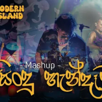 Sindu Handawa x Dark Necessities Live Cover - Modern Island