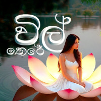 Wil Theree - Tharushi Bogoda