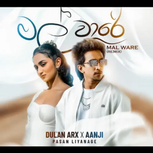 Mal Ware (Remix) - Dulan ARX & Aanji