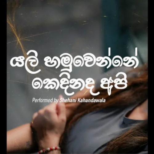 Yali Hamuwenne Kedinada Api Mashup - Shehani Kahandawala