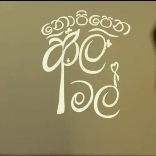 Nopipena Aala Mal - Didula Abhishek Geethanjana
