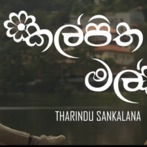 Kalpitha Mal - Tharindu Sankalana