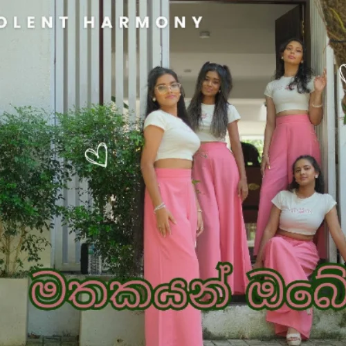 Mathakayan Obe (Cover) - Violent Harmony