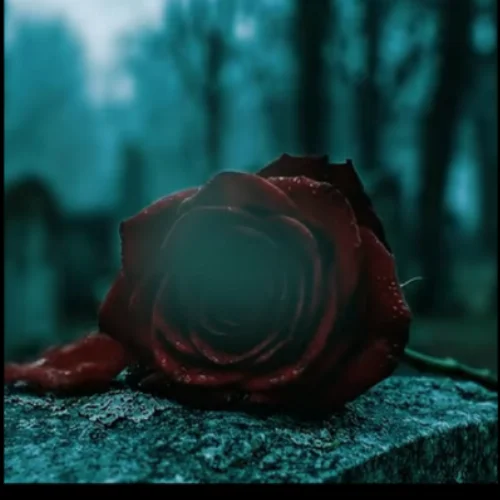 Ma Sith Para - Dineth Nayanapriya