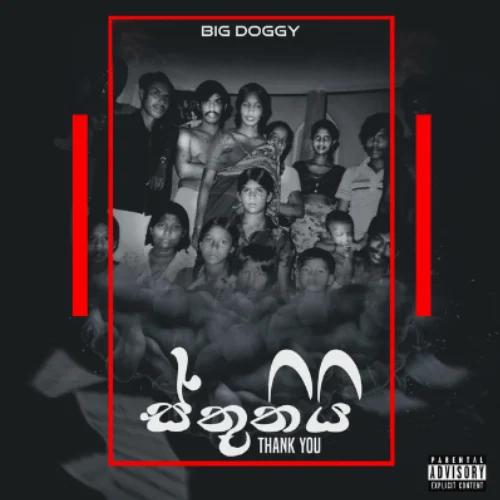 Hip Hop Wattuwa - Big Doggy