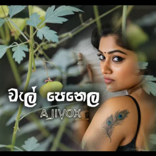 Wal Penela - Ajith Sanjeewa Perera