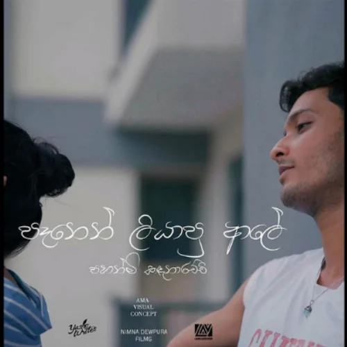 Panen Liyapu Aaley - Pahanmi Kandhanarachchi