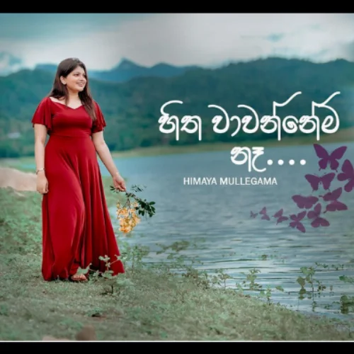Hitha Wawannema Na (Female Cover) - Himaya Mullegama