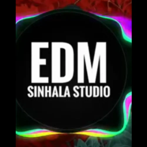 Roo sara (Cover) - EDM sinhala studio