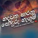 Hadawatha Parana Sonduru Hagum (Cover) - Ishara Akalanka