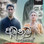 Amuthuma Premayak (Cover) - Vibe Music