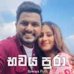 Bawaya Pura - Kavee & Sapu