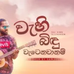 Wahi Bindu Watenawanam (Live Cover) - Sanjul Bandara