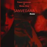 Sanvedana (Remix) - Shane Zing