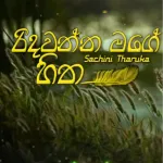 Ridawanna Mage Hitha - Sachini Tharuka