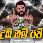 Uba Nam Paw - Shane Zing