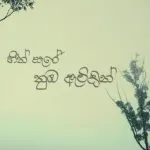Heen Sare Numba Awidin (Cover) - SARAH