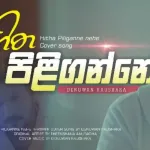 Hitha Piliganne Na (Cover) - Denuwan Kaushaka