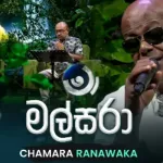Malsara (Ma Nowana Mama) - Chamara Ranawaka