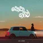 Nethu Gawa - Leo Asher