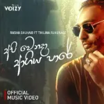Api Wenada Agiya Paare - Rasha Shuhaib